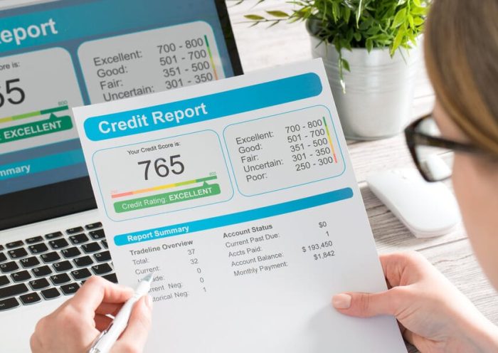 Credit Report